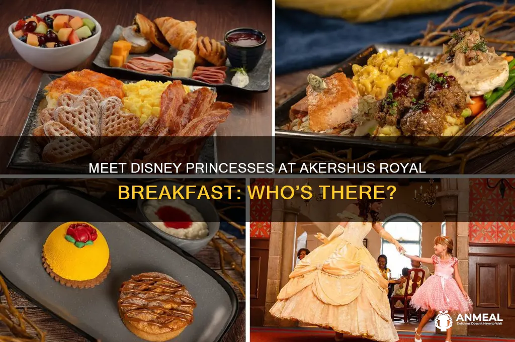 what princesses are at akershus breakfast