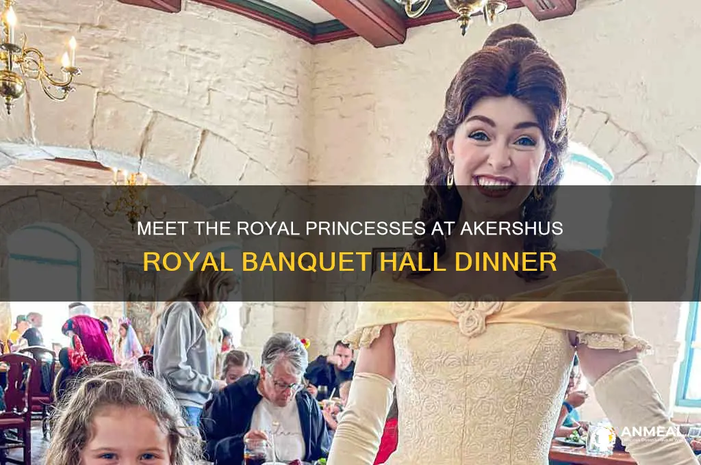 what princesses are at akershus dinner