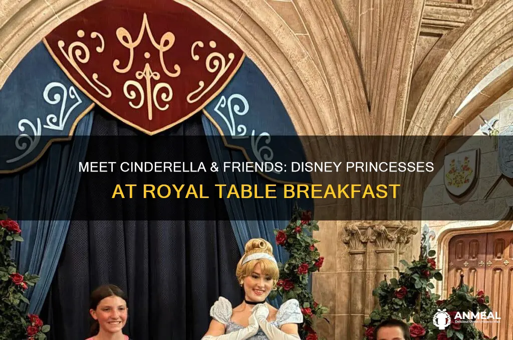 what princesses are at cinderella