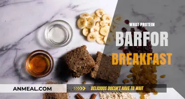 Best Protein Bars for Breakfast: Fuel Your Morning with Healthy Options