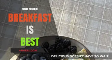 Top Protein-Packed Breakfast Ideas for Energy and Fullness All Day