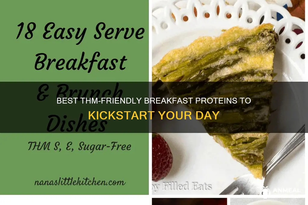 what protein for breakfast thm