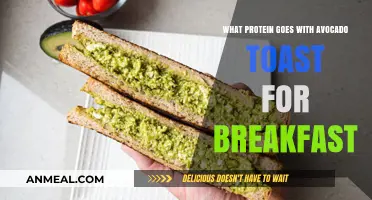 Delicious Protein Pairings to Elevate Your Avocado Toast Breakfast