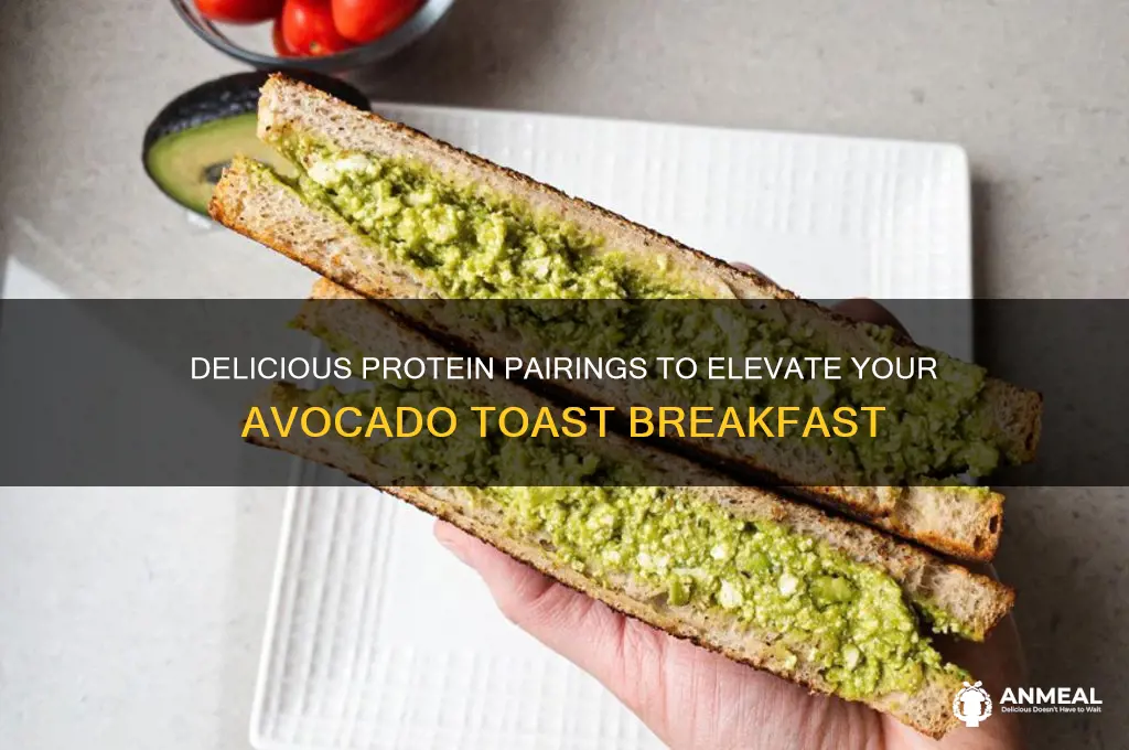 what protein goes with avocado toast for breakfast