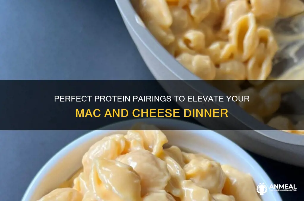 what protein goes with mac and cheese for dinner