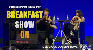 Tune In: Radio 1 Breakfast Show Station Guide
