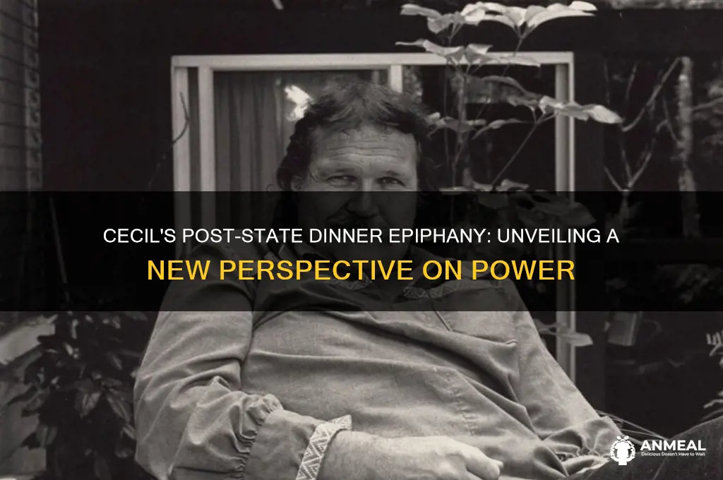 what realization does cecil come to after the state dinner