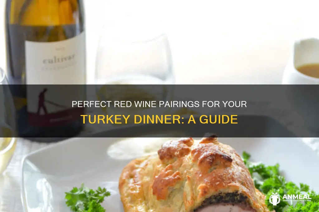 what red wine goes with turkey dinner