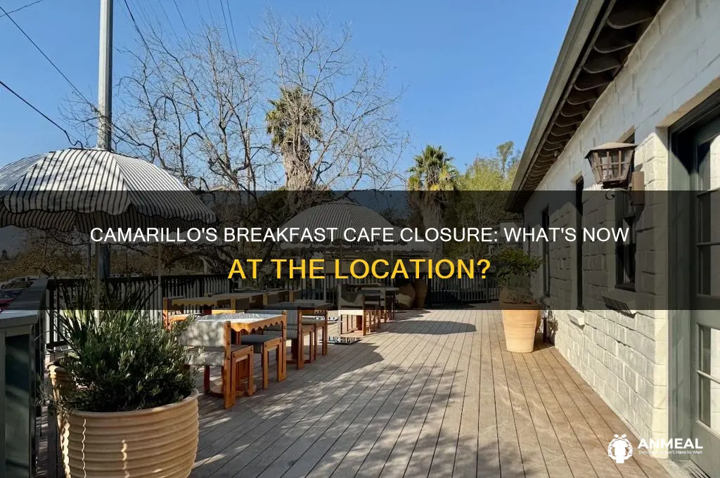 what replaced the breakfast cafe in camarillo