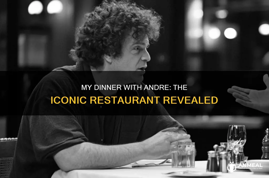 what restaurant did the film my dinner with andre in