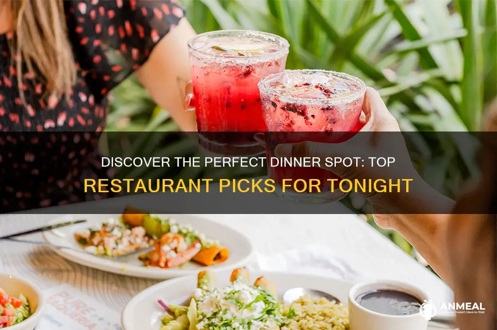 what restaurant should i go to for dinner tonight