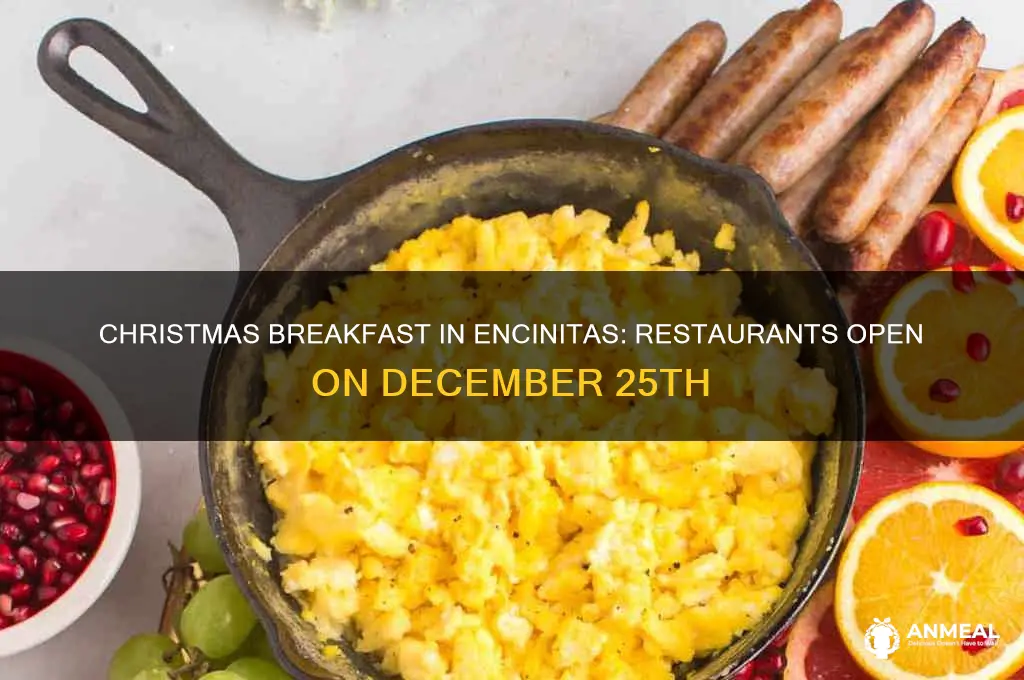 what restaurants are open christmas day for breakfast in encinitas