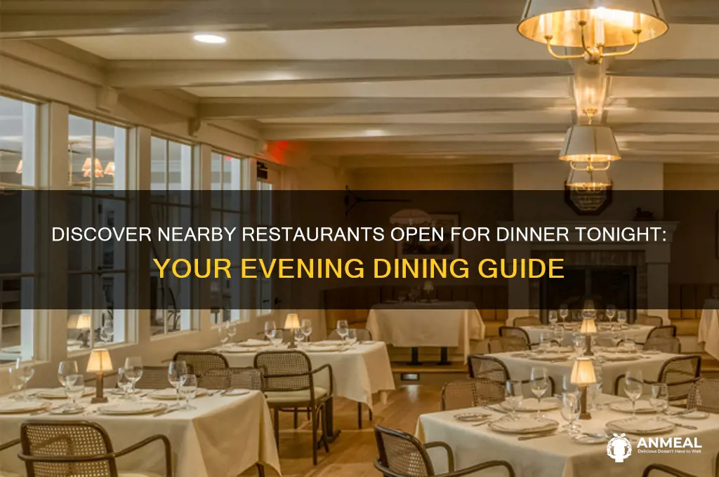 what restaurants are open for dinner tonight