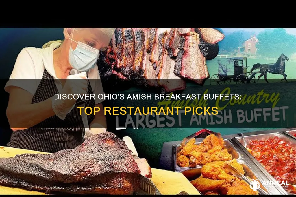 what resturantbhas breakfast buffet in ohio amish food