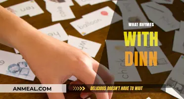 Creative Rhyme Discoveries: Unveiling Words That Perfectly Match with 'Dinn