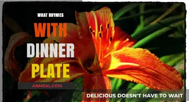 Creative Rhyme Exploration: Uncovering Words That Match 'Dinner Plate