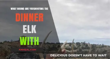 Choosing the Right Round for a Clean and Ethical Elk Hunt