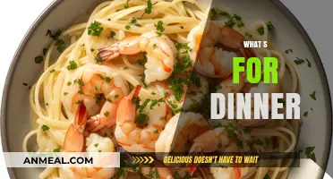 Delicious Dinner Ideas: Quick, Easy, and Family-Friendly Recipes Tonight