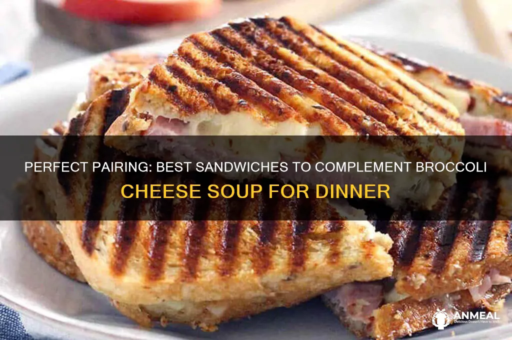 what sandwich goes with broccoli cheese soup for dinner