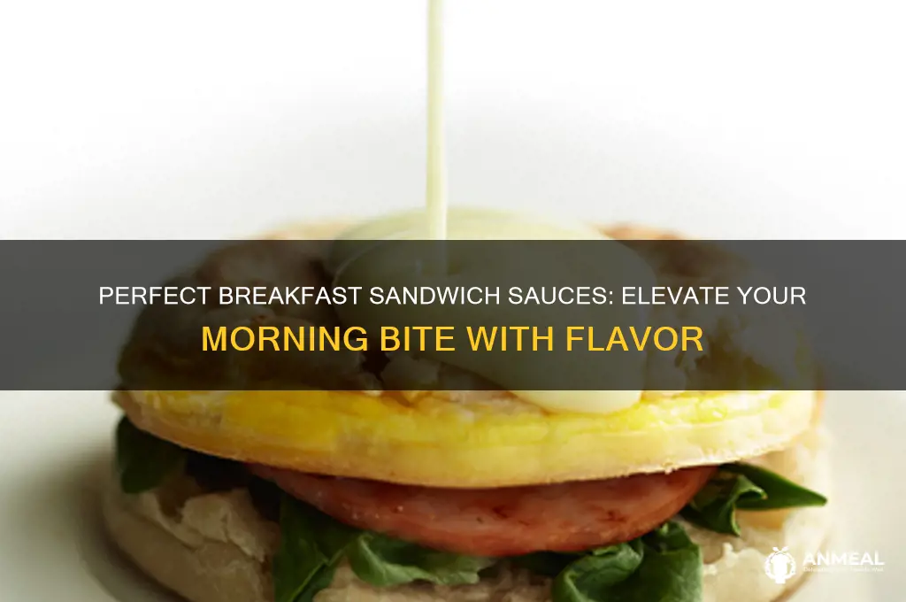 what sauce for breakfast sandwich