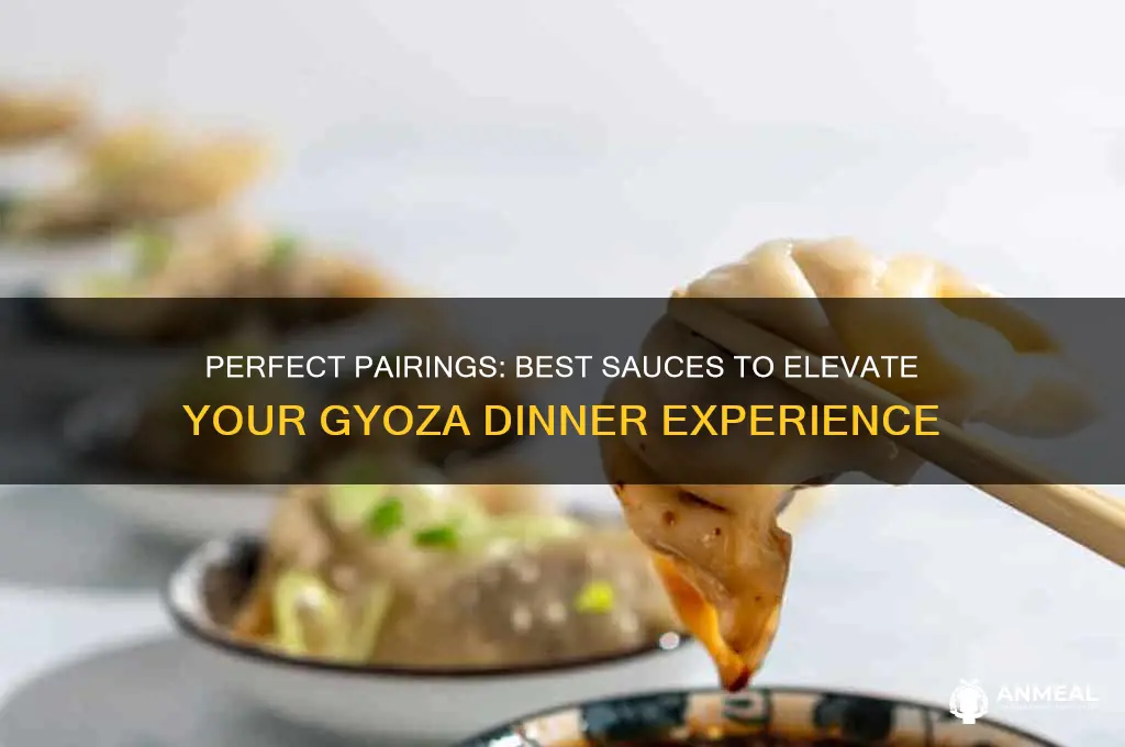 what sauce goes with gyoza dinner