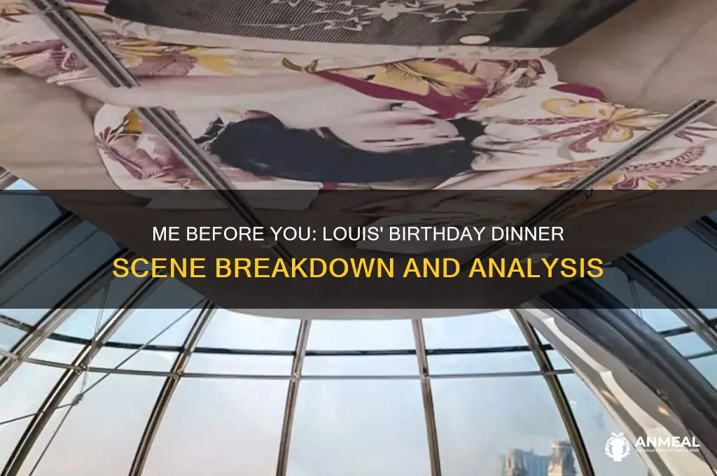 what scene is louis birthday dinner in me before you