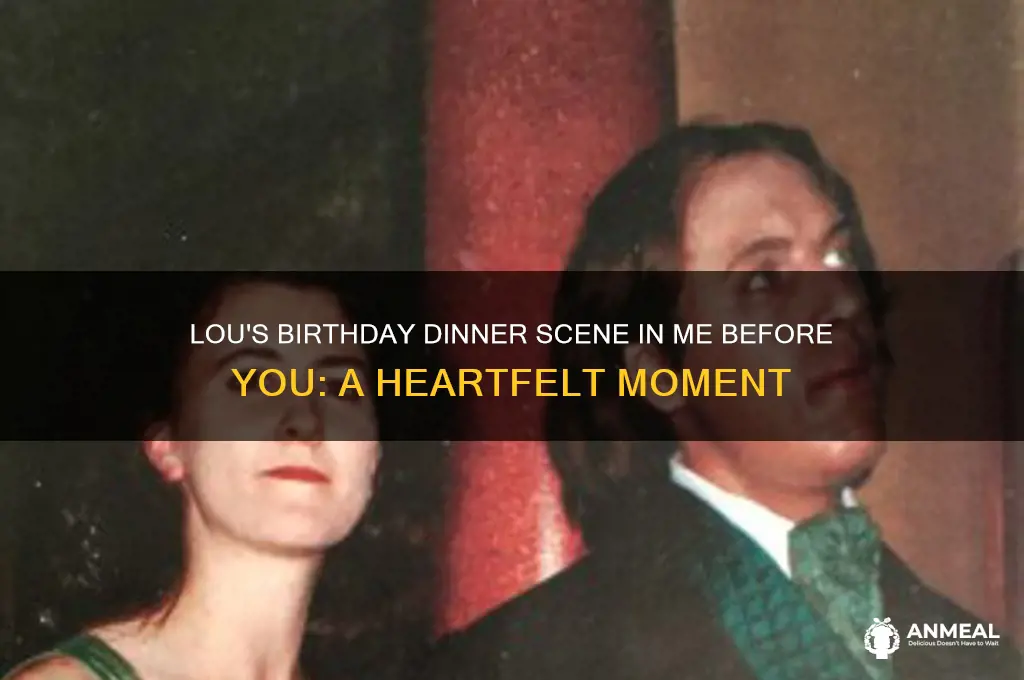 what scene is lous birthday dinner in me before you