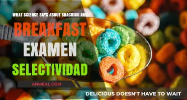 Snacking vs. Breakfast: Science-Backed Insights for Examen Selectividad Success