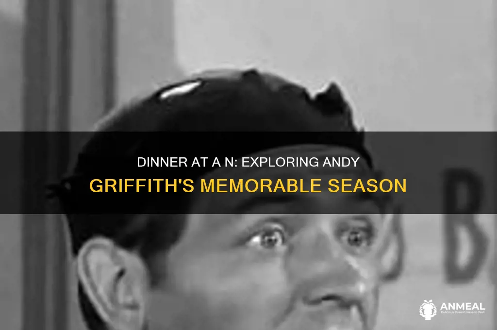 what season of andy griffith was dinner at a n