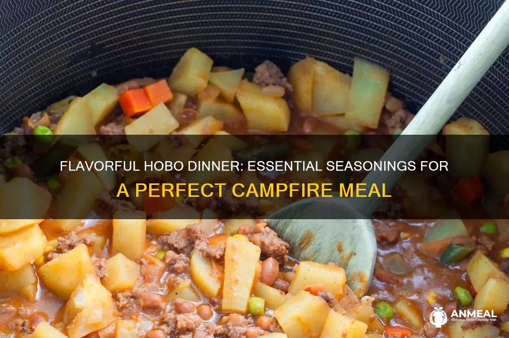what seasonings do you use for hobo dinner