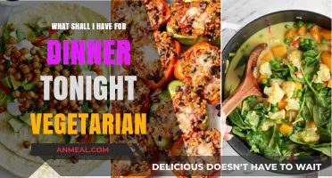 Delicious Vegetarian Dinner Ideas: Tonight's Meatless Meal Inspiration