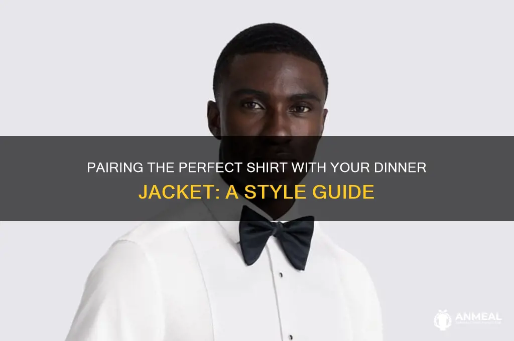 what shirt with a dinner jacket
