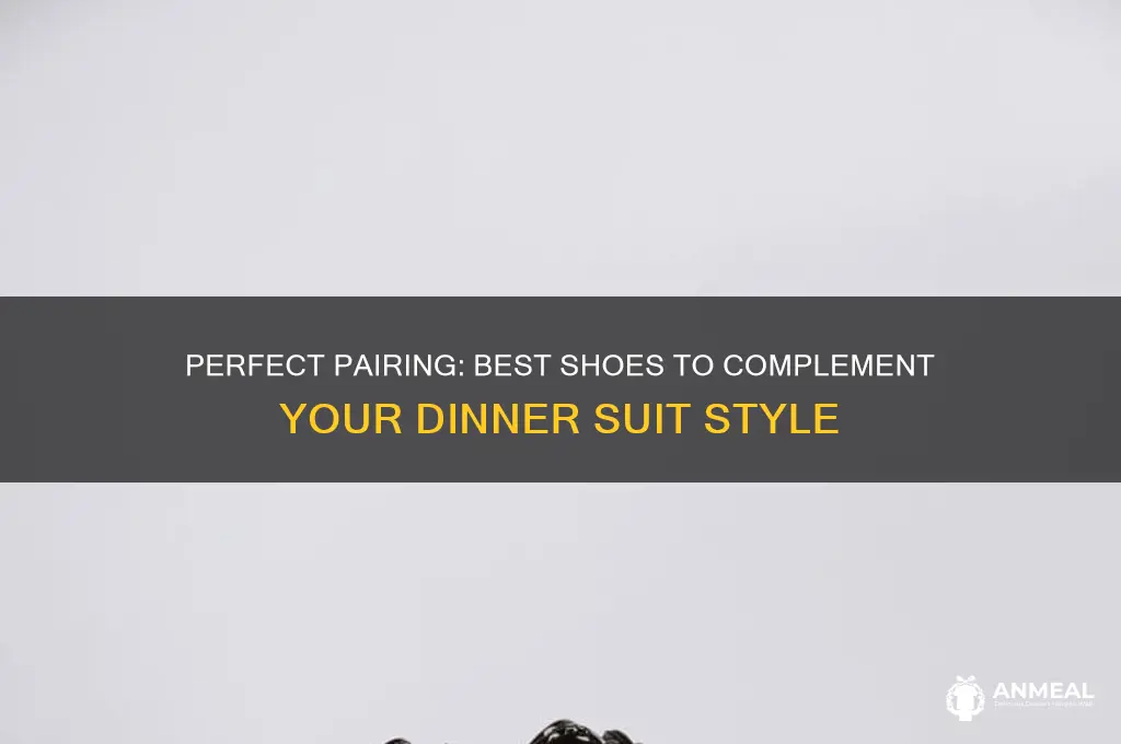 what shoes go with a dinner suit