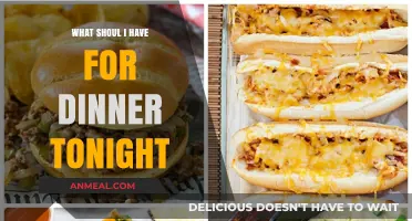 Delicious Dinner Ideas: Quick, Easy, and Satisfying Meals Tonight