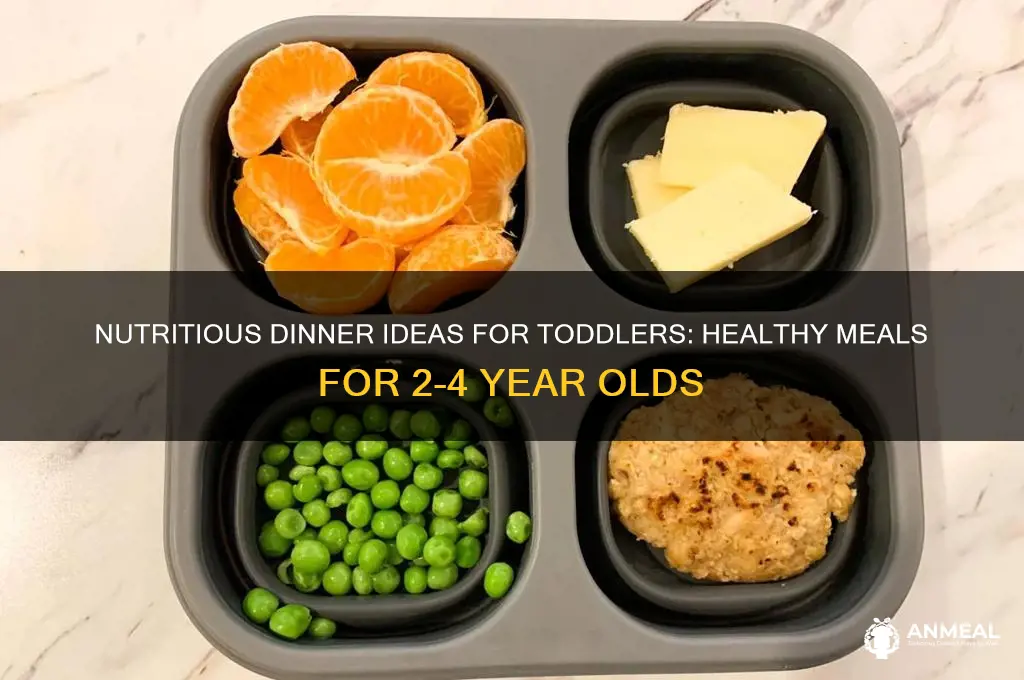 what should a 2-4 year old have for dinner