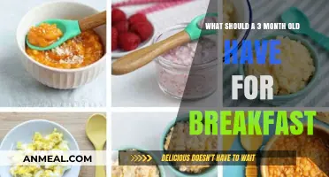 Nutritious Breakfast Ideas for Your 3-Month-Old Baby's Healthy Start