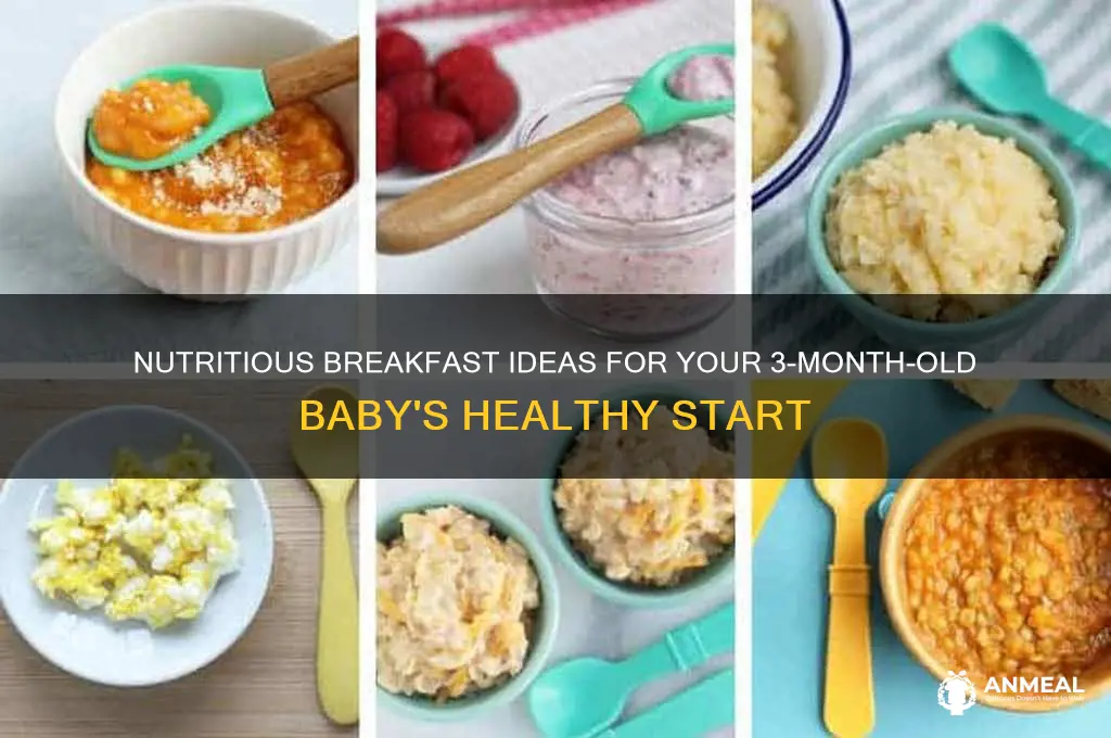 what should a 3 month old have for breakfast