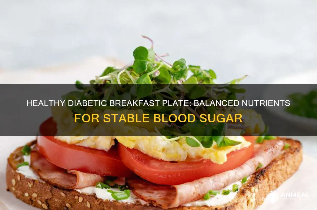 what should a diabetic breakfast plate look like