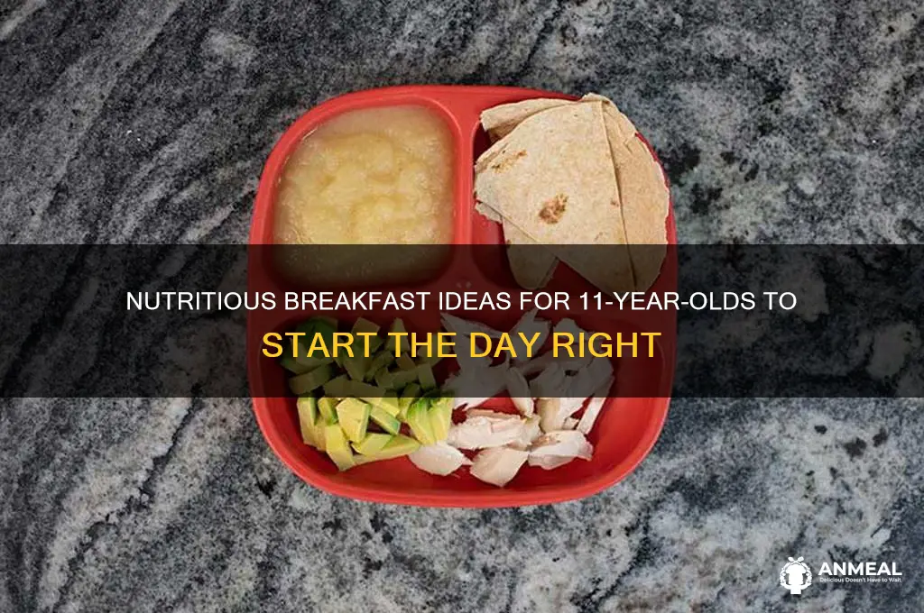 what should an 11 year old have for breakfast