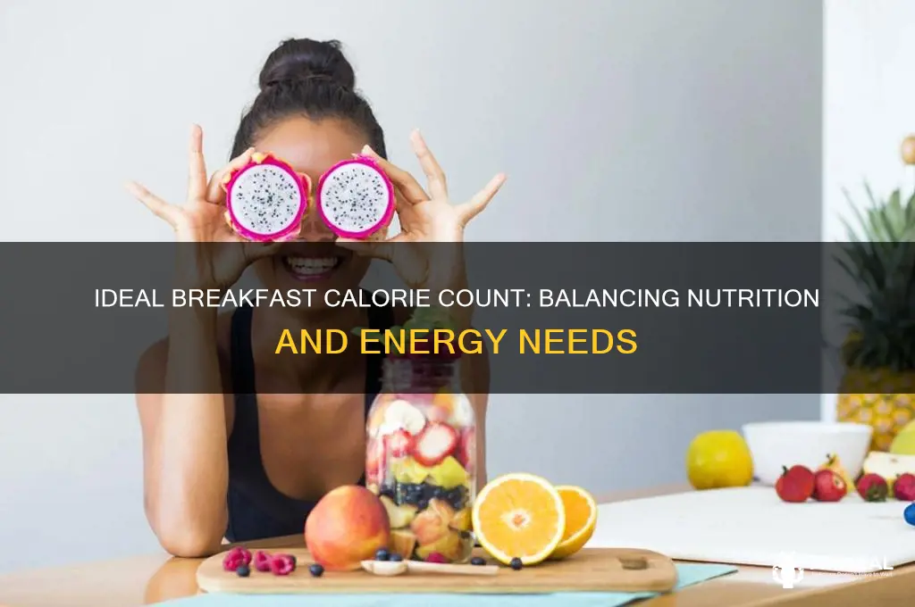 what should an average calorie count be for breakfast