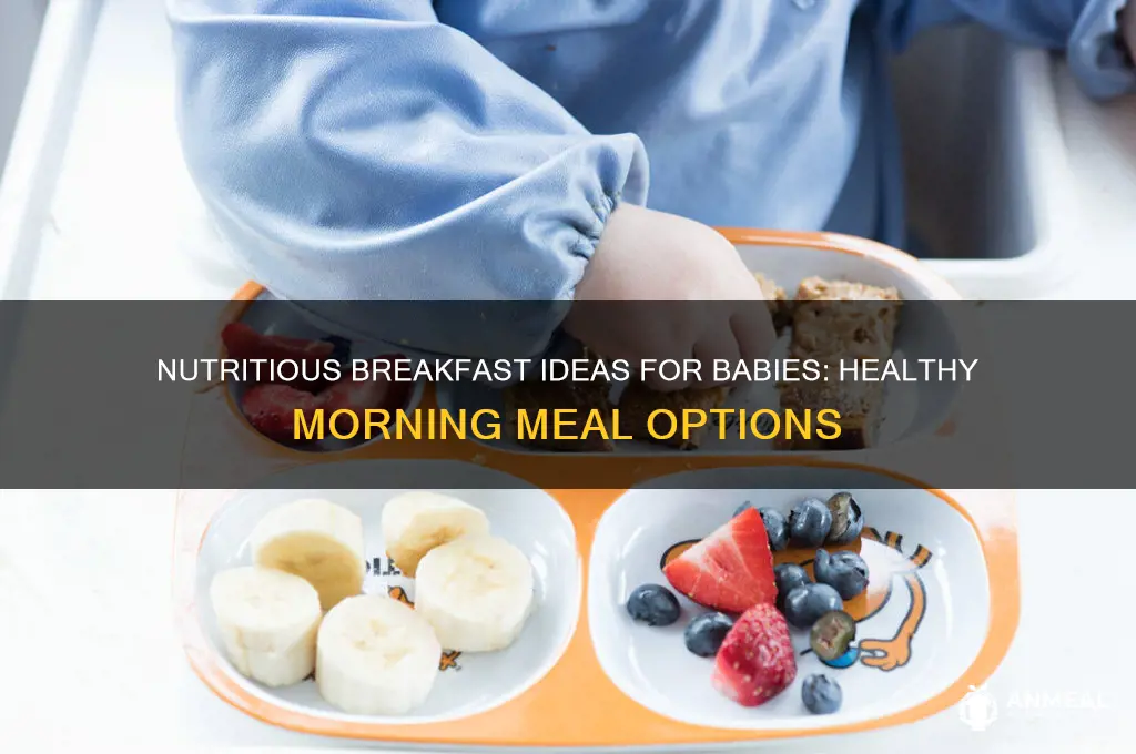 what should babies have for breakfast