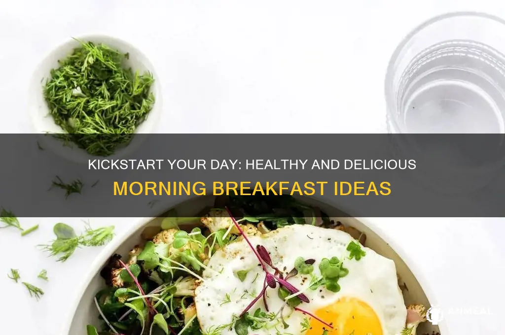 what should be the morning breakfast