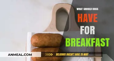Nutritious Breakfast Ideas for Dogs: Healthy Morning Meals for Your Pup