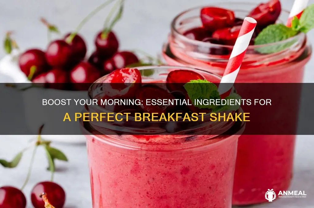 what should i be putting in my breakfast shake