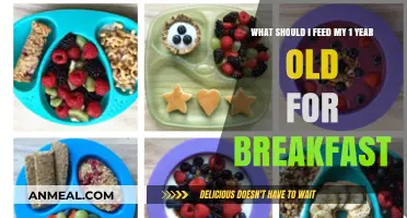 Healthy Breakfast Ideas for Your One-Year-Old: Simple and Nutritious Options