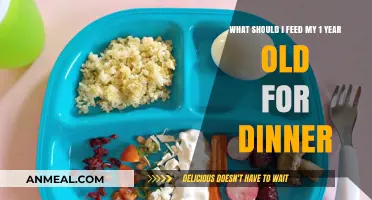 Nutritious and Delicious Dinner Ideas for Your One-Year-Old