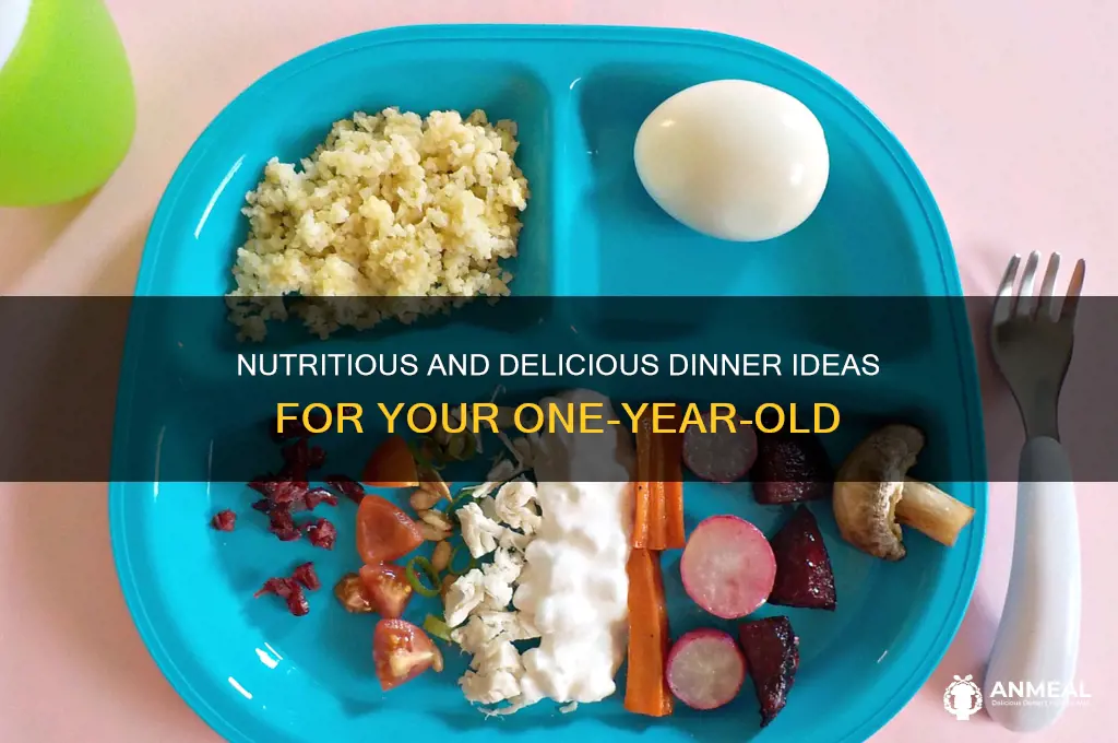 what should i feed my 1 year old for dinner