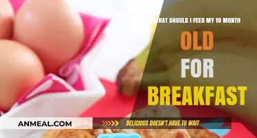 Nutritious Breakfast Ideas for Your 10-Month-Old Baby's Morning Meal