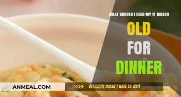 Nutritious Dinner Ideas for Your 11-Month-Old Baby's Healthy Growth