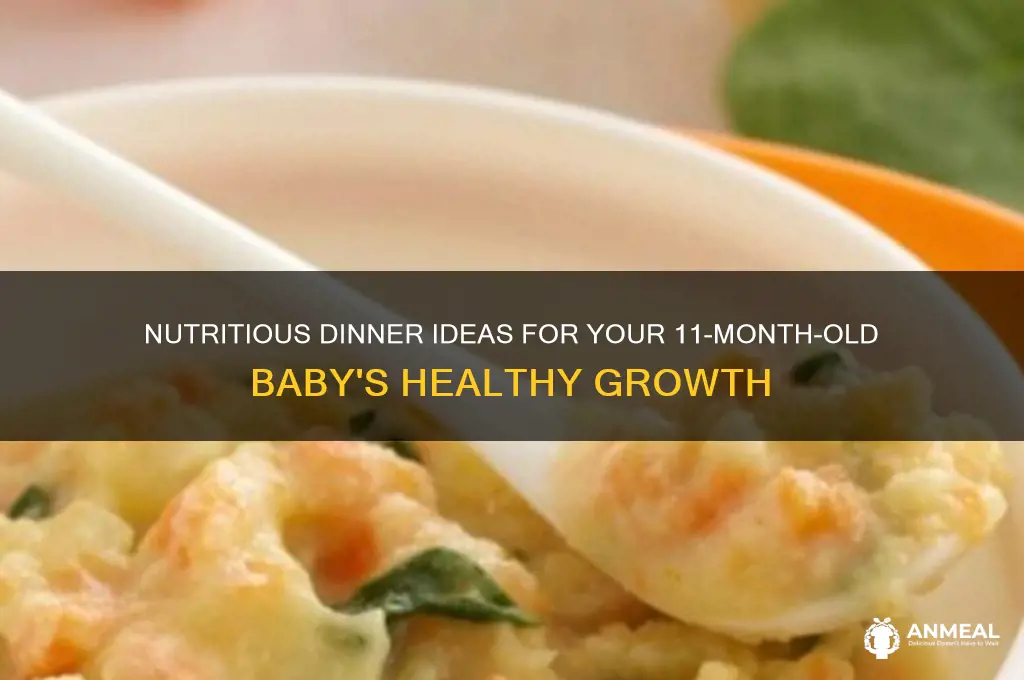 what should i feed my 11 month old for dinner